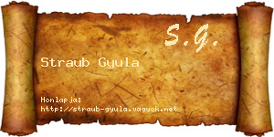 Straub Gyula névjegykártya
